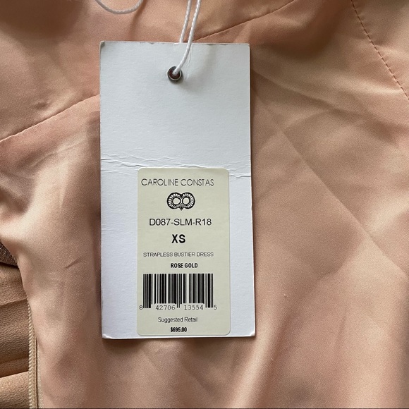 Silk Caroline Constas Dress - Picture 9 of 9